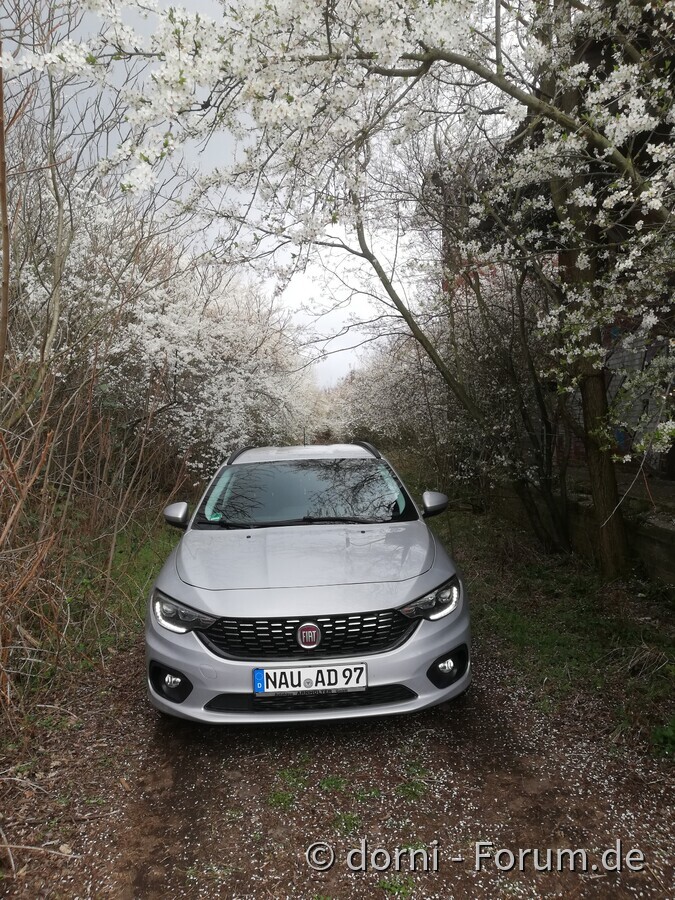 Frühling
