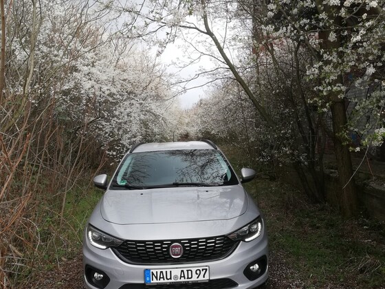 Frühling