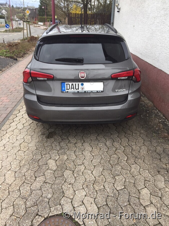 Meiner