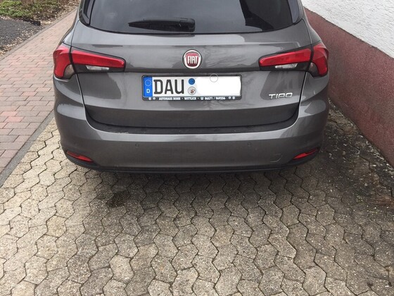 Meiner