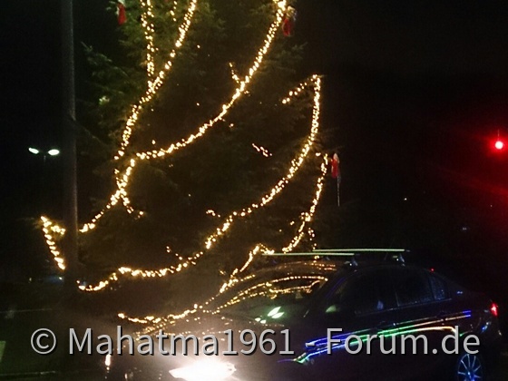 Tipo vor Weihnachtsbaum