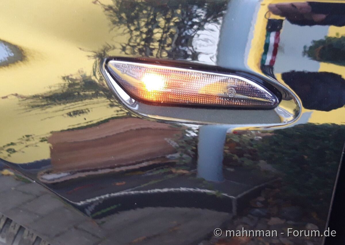 Schwarze Seitenblinker
