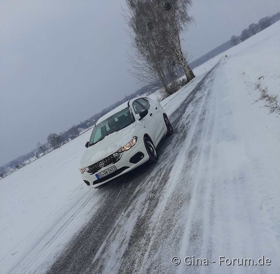 Der erst richtige Schnee für uns 1❄