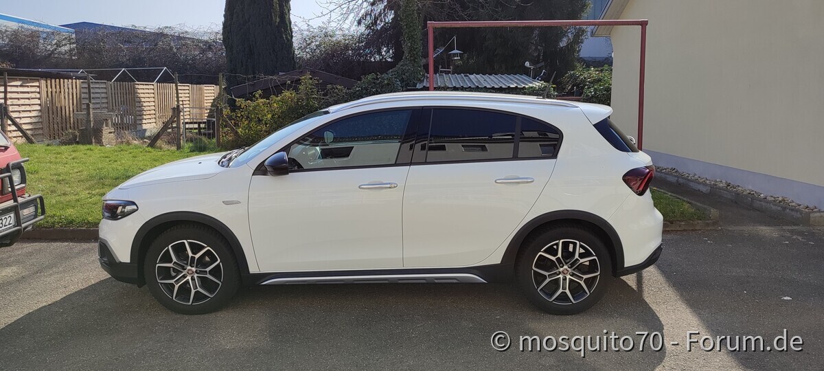 Die Cola-Dose ist zurück