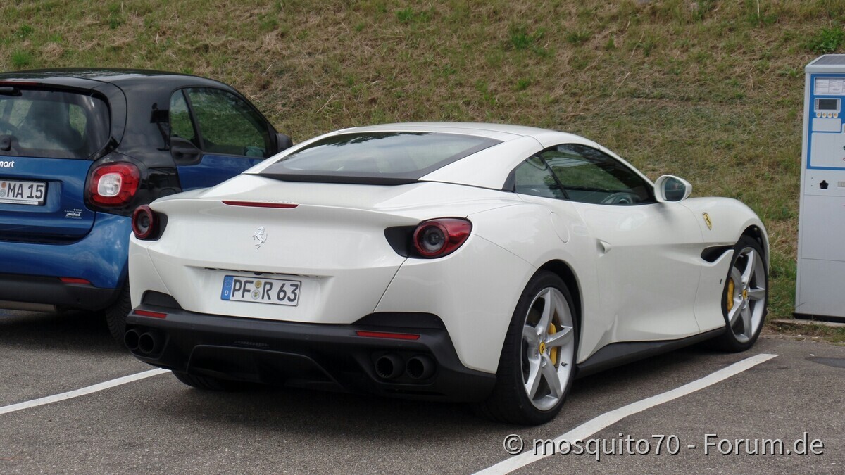 Heute waren wir am Schluchsee in guter Gesellschaft