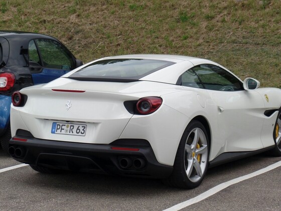 Heute waren wir am Schluchsee in guter Gesellschaft