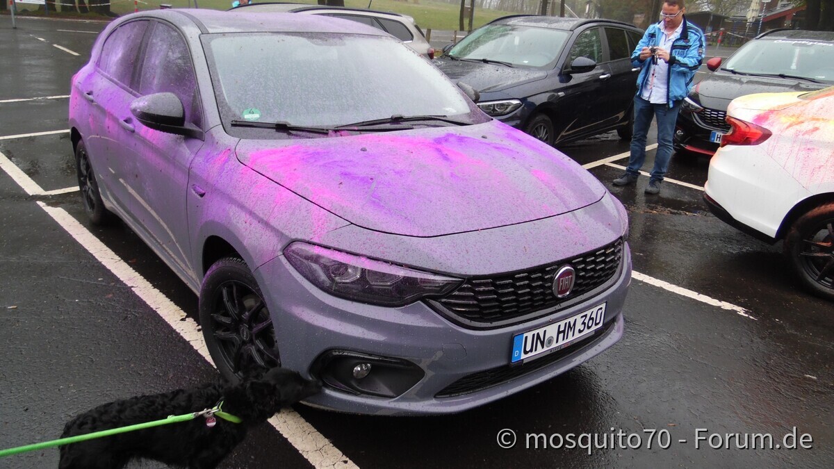 Schotten im April 2019