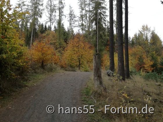 Herbst