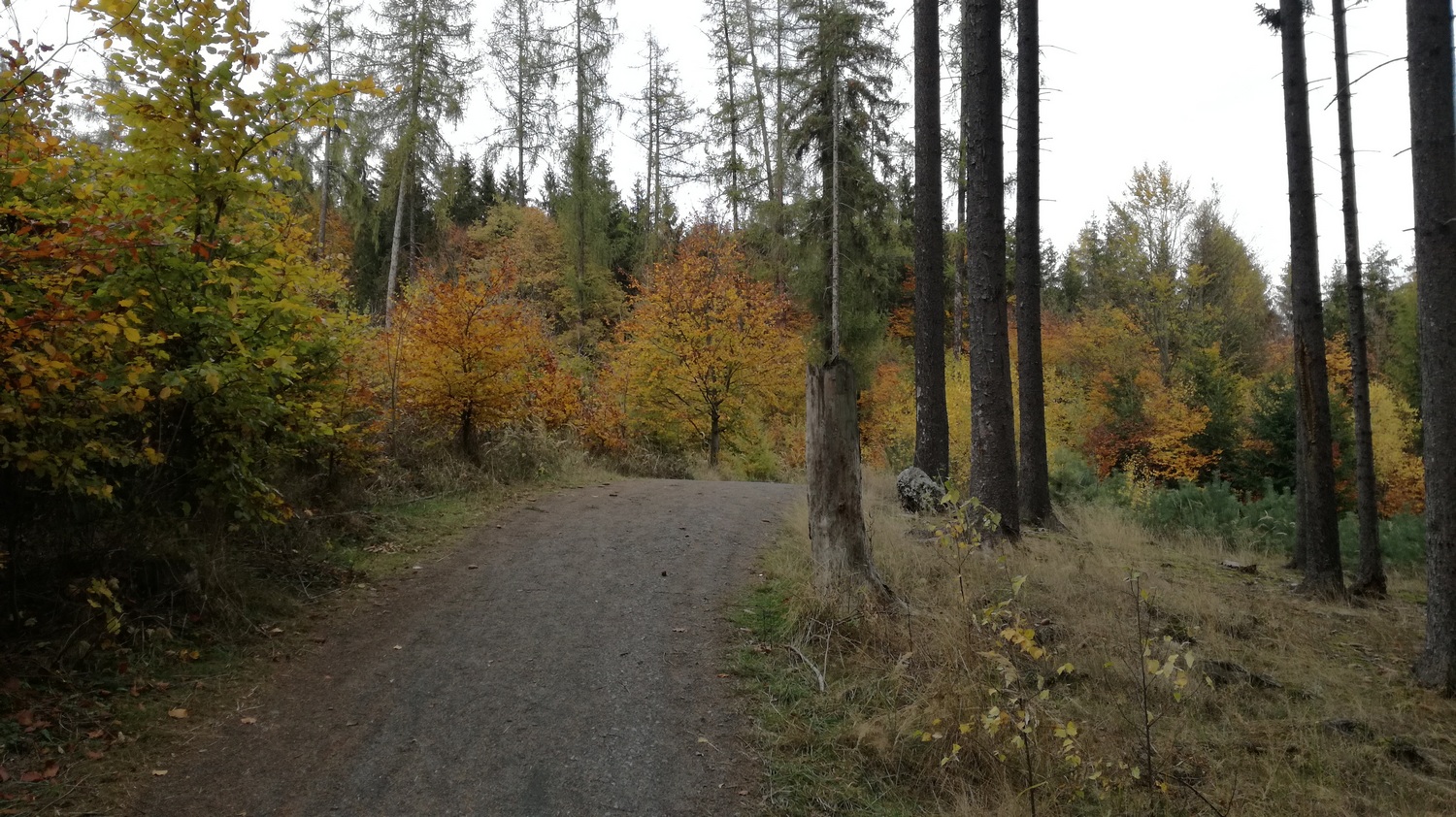 Herbst
