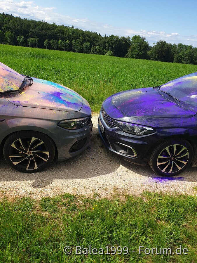 Schwarzwald wird bunter