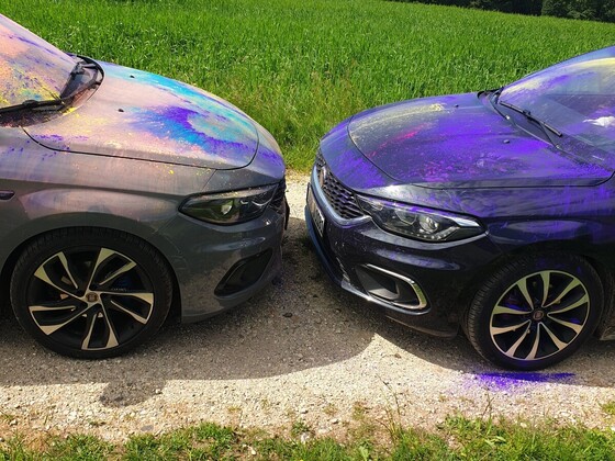 Schwarzwald wird bunter