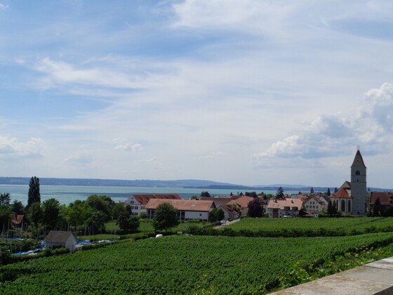 Bodensee-Impressionen