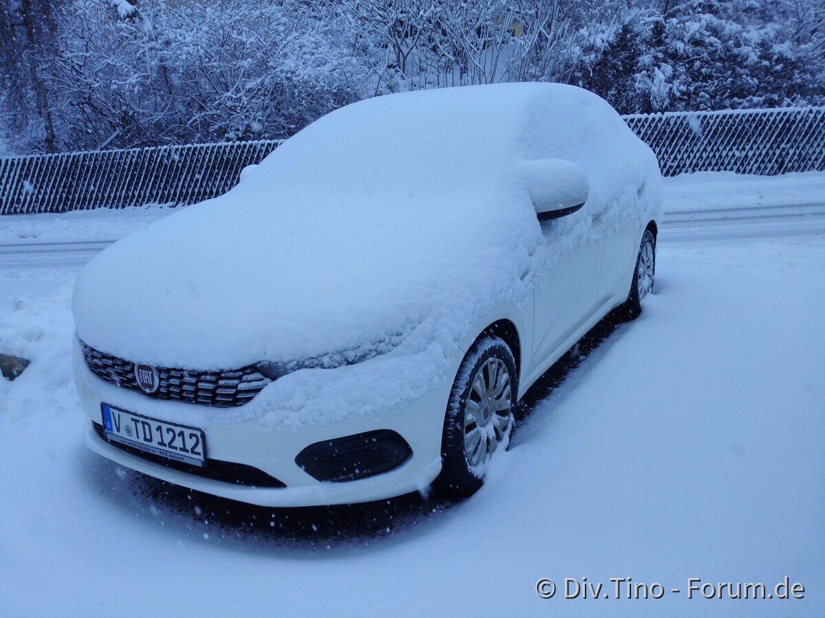 Winter 2019