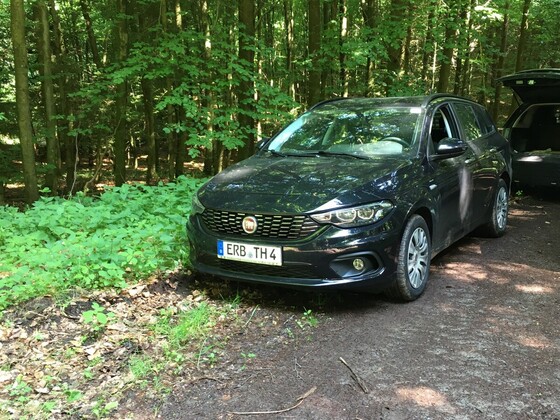 Ein Tipo steht im Walde.......