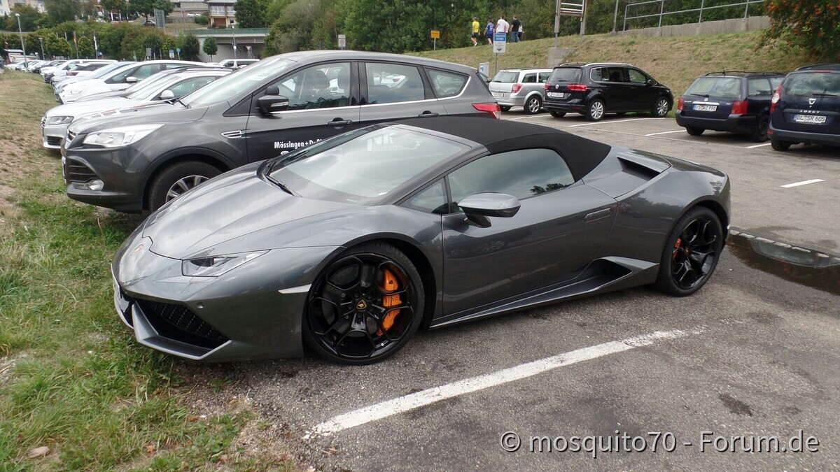 Heute waren wir am Schluchsee in guter Gesellschaft