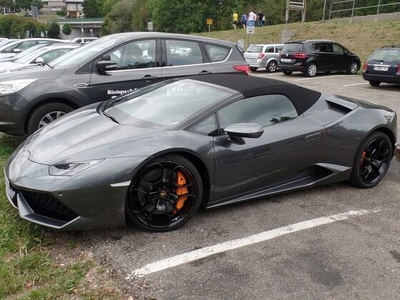 Heute waren wir am Schluchsee in guter Gesellschaft