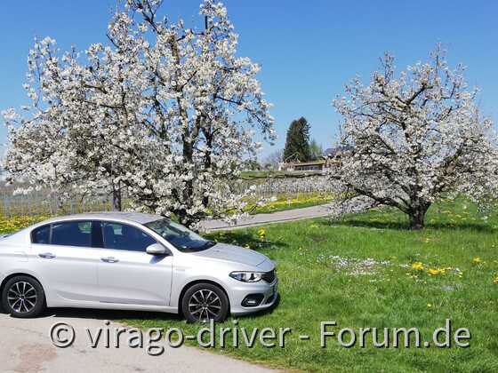Osterausflug an den Bodensee