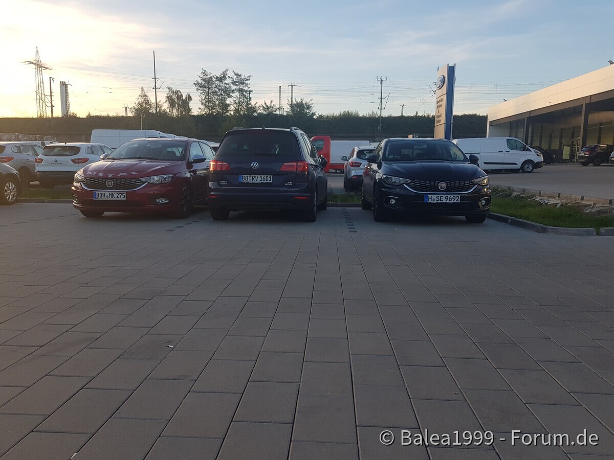 Meine Tipo Sichtungen ;)