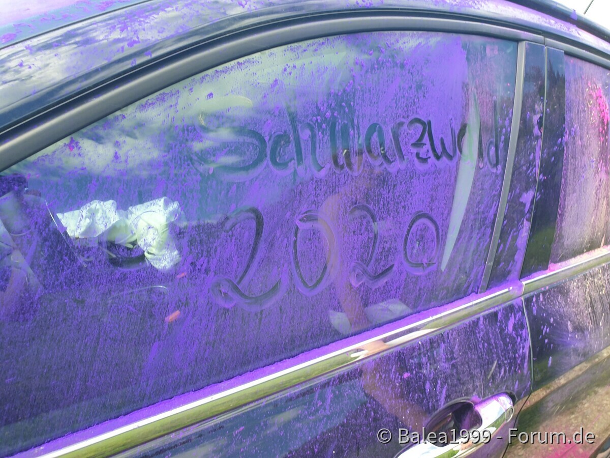 Schwarzwald wird bunter