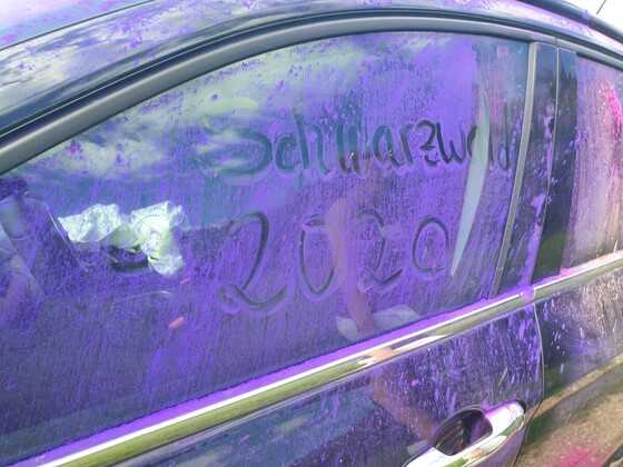 Schwarzwald wird bunter