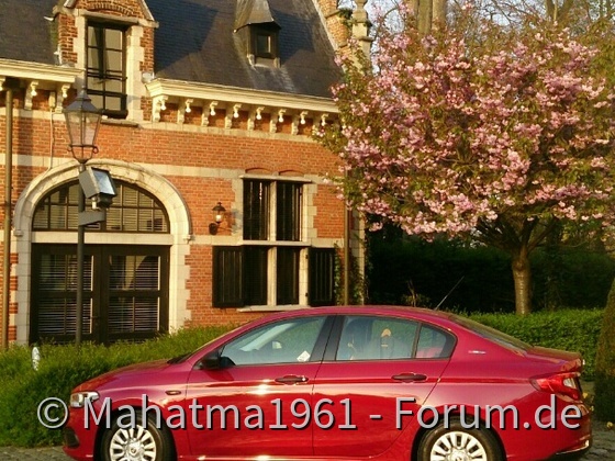 Tipo in Belgien
