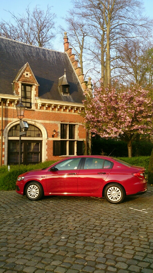 Tipo in Belgien