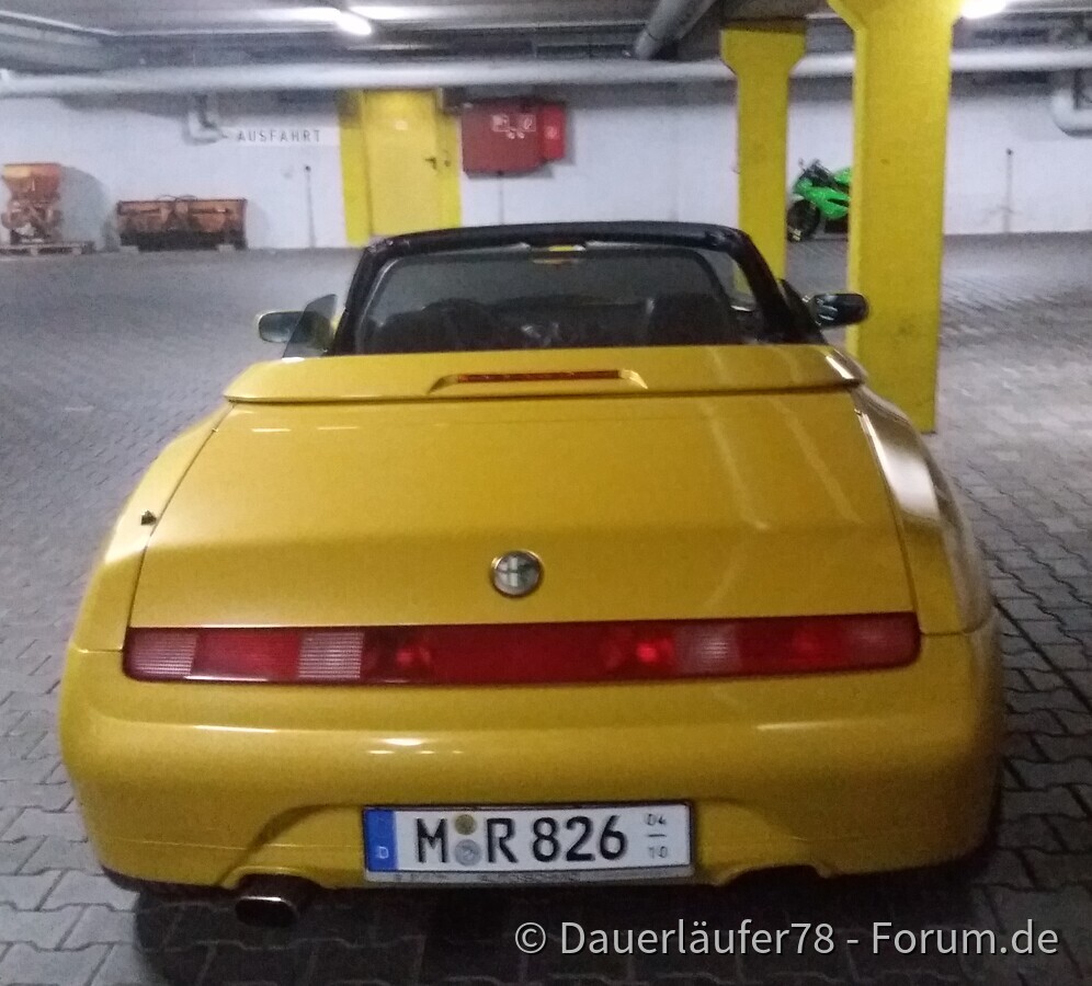 Dauerläufers Spider 916