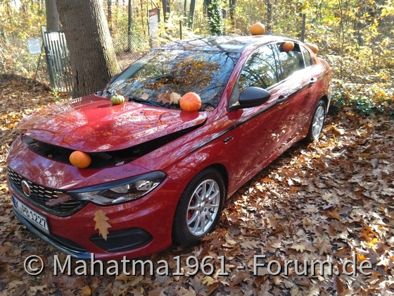 Fahruntauglich zu Halloween