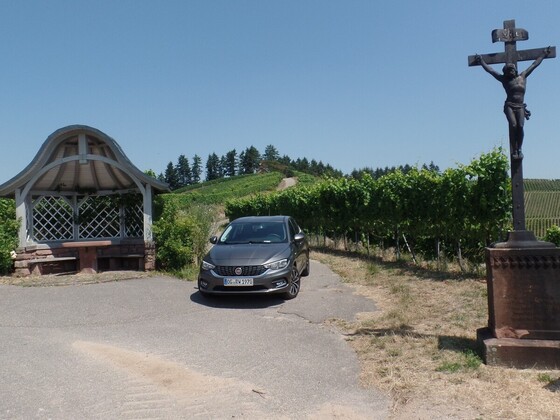 Der Tipo und die Weinberge über Durbach