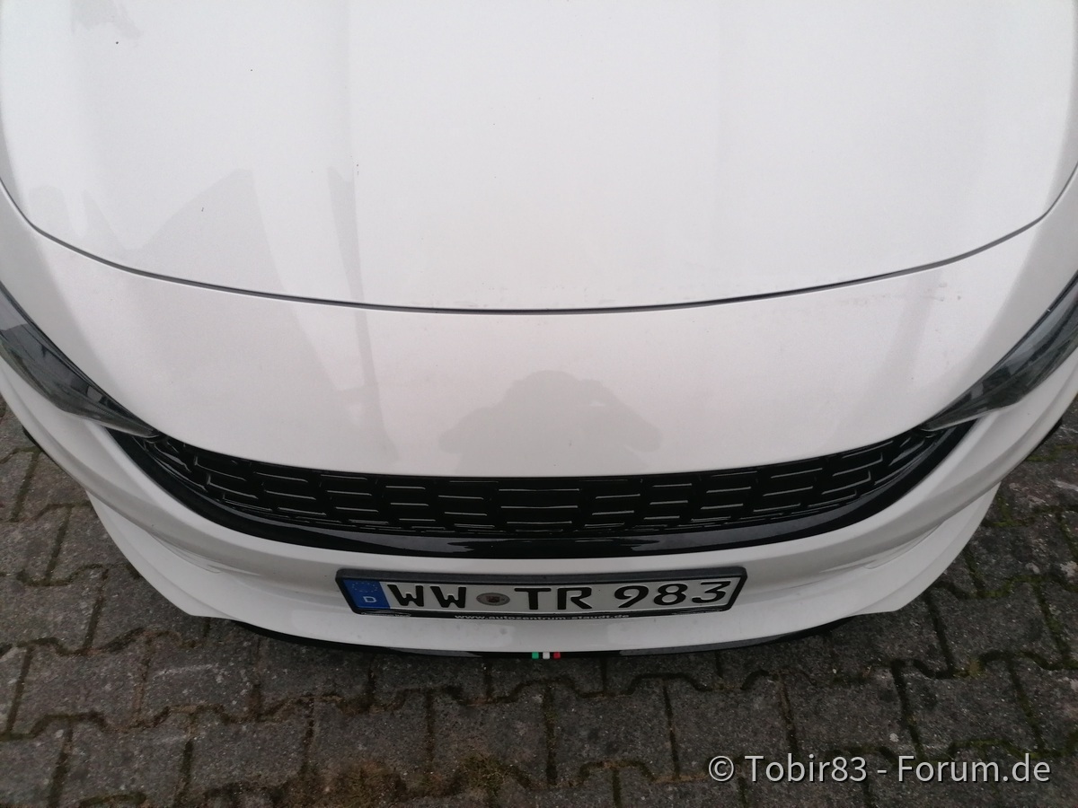 Cleaner Frontgrill montiert