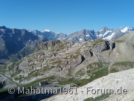 Bergziege Tipo