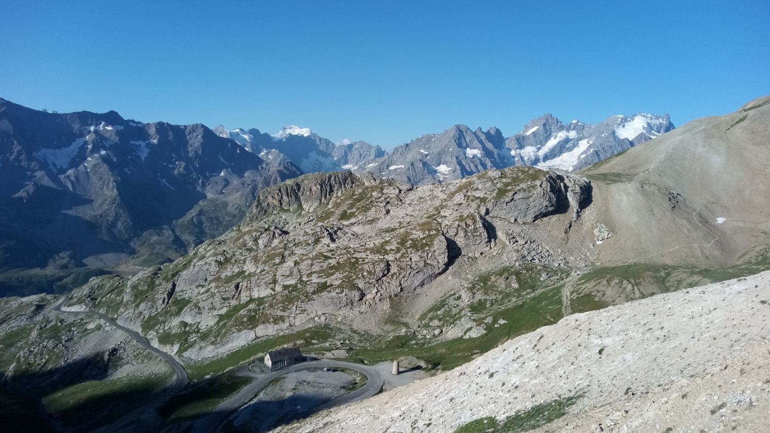 Bergziege Tipo