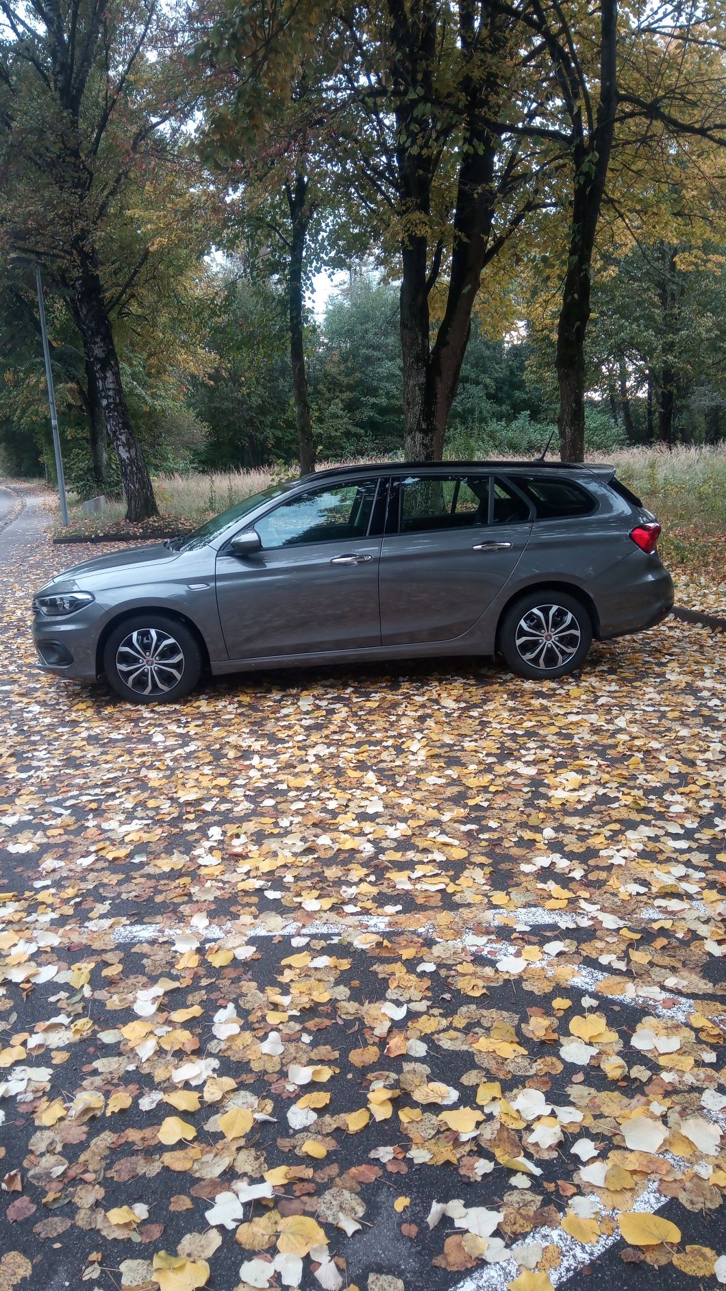 . . . . . und schon wieder ist es Herbst im Land