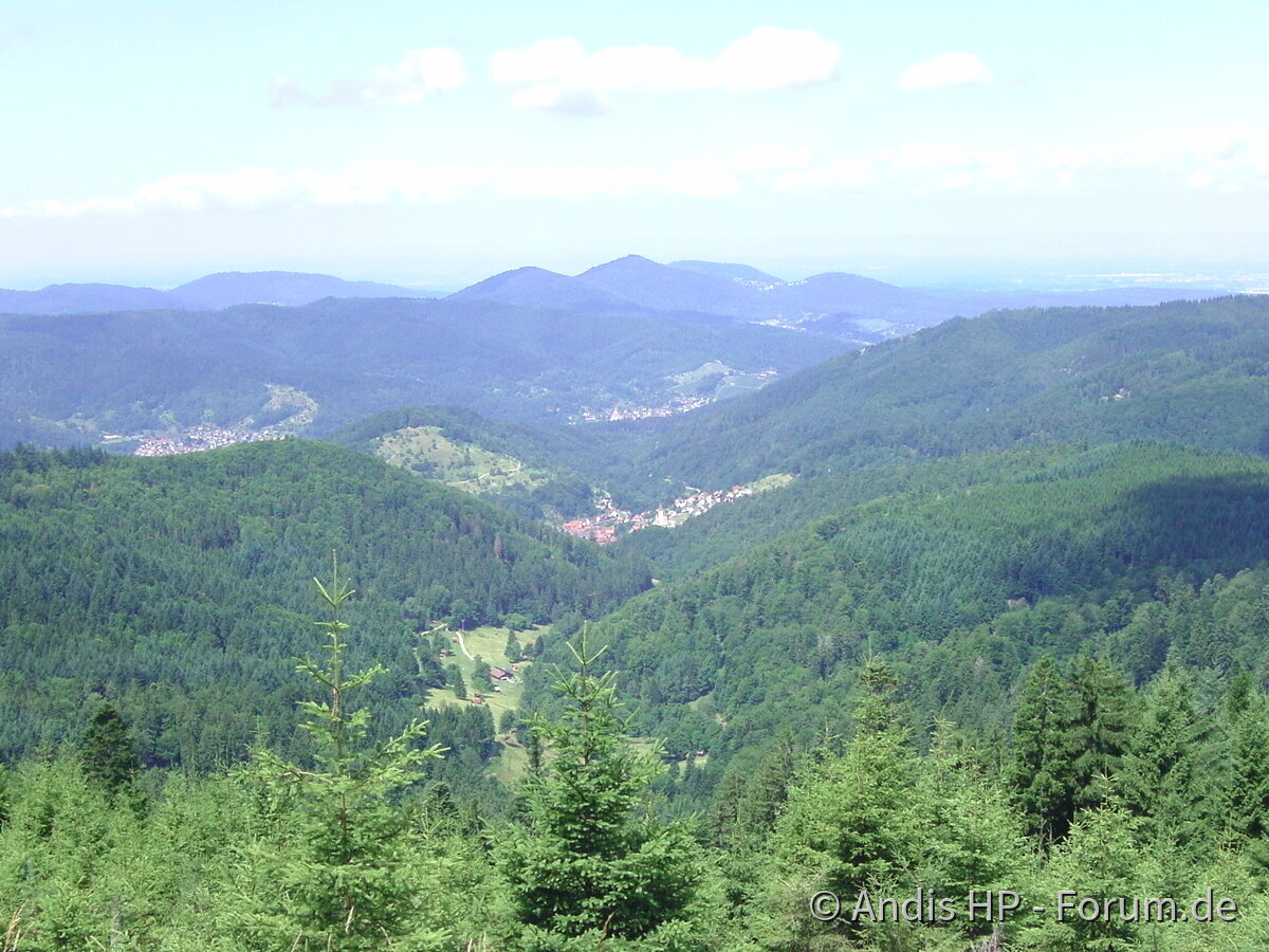 Nordschwarzwaldimpressionen...Kaltenbronn/Teufelsmühle/-turm