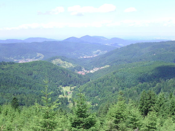 Nordschwarzwaldimpressionen...Kaltenbronn/Teufelsmühle/-turm