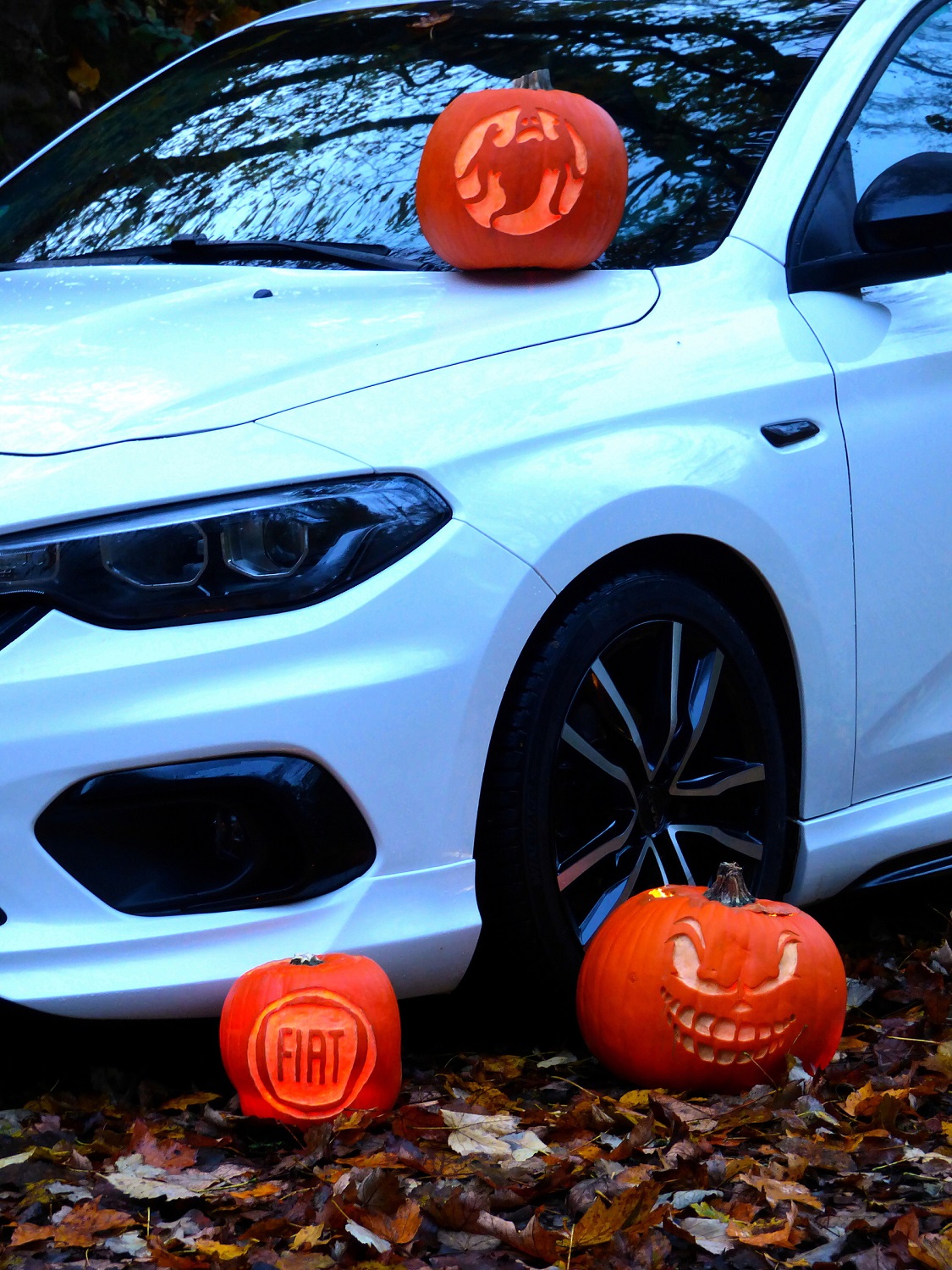 Happy Halloween