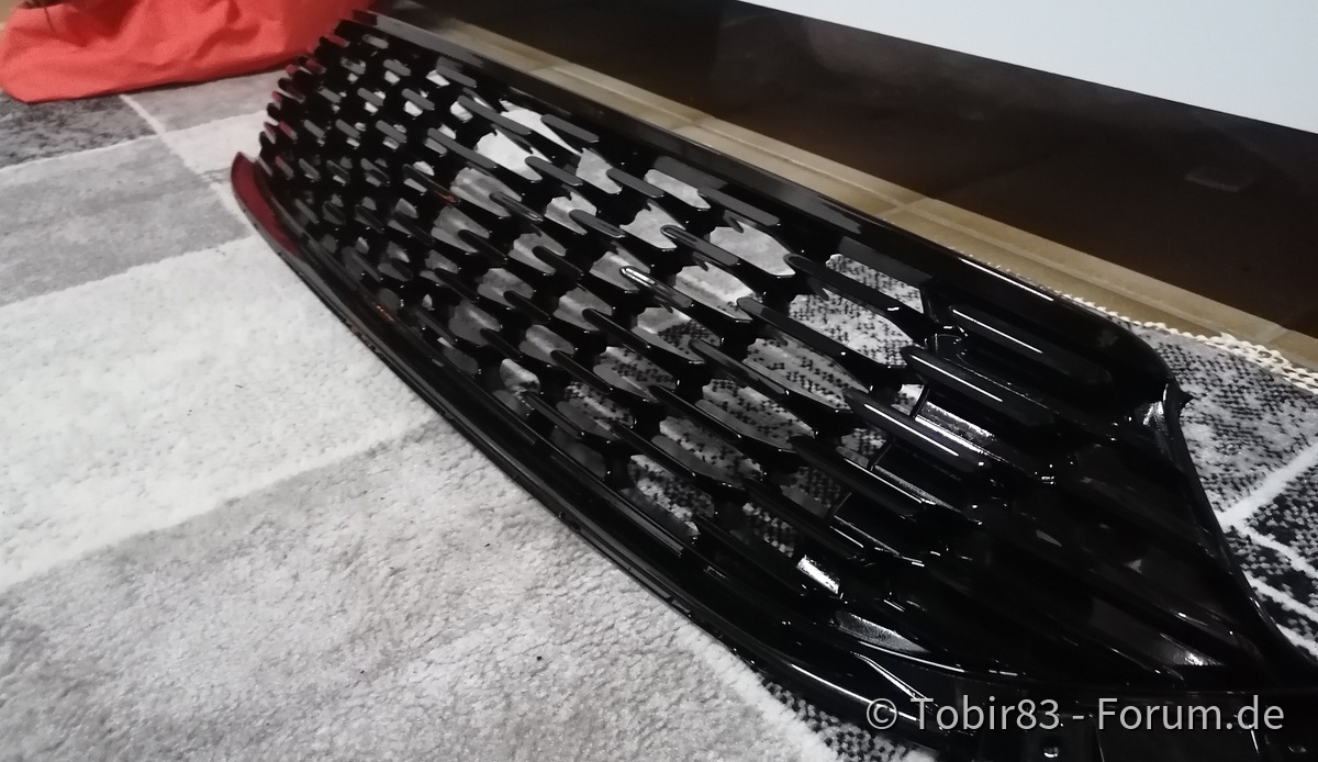 cleaner Frontgrill