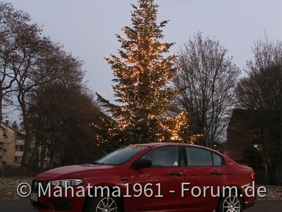Am Weihnachtsbaume.....