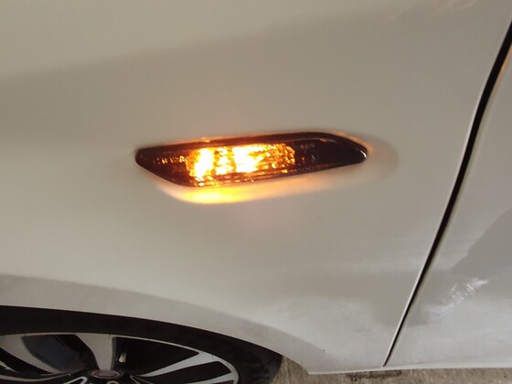 Schwarze Blinker