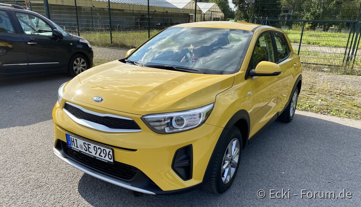 Mein neuer Koreaner