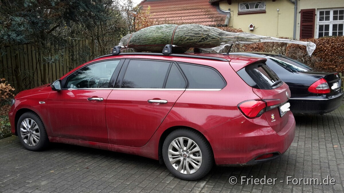 Ein Tipo unterm Weihnachtsbaum...