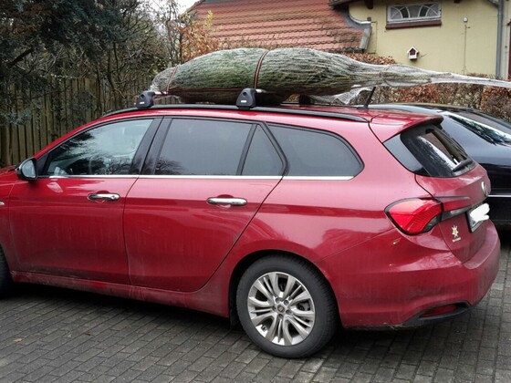 Ein Tipo unterm Weihnachtsbaum...