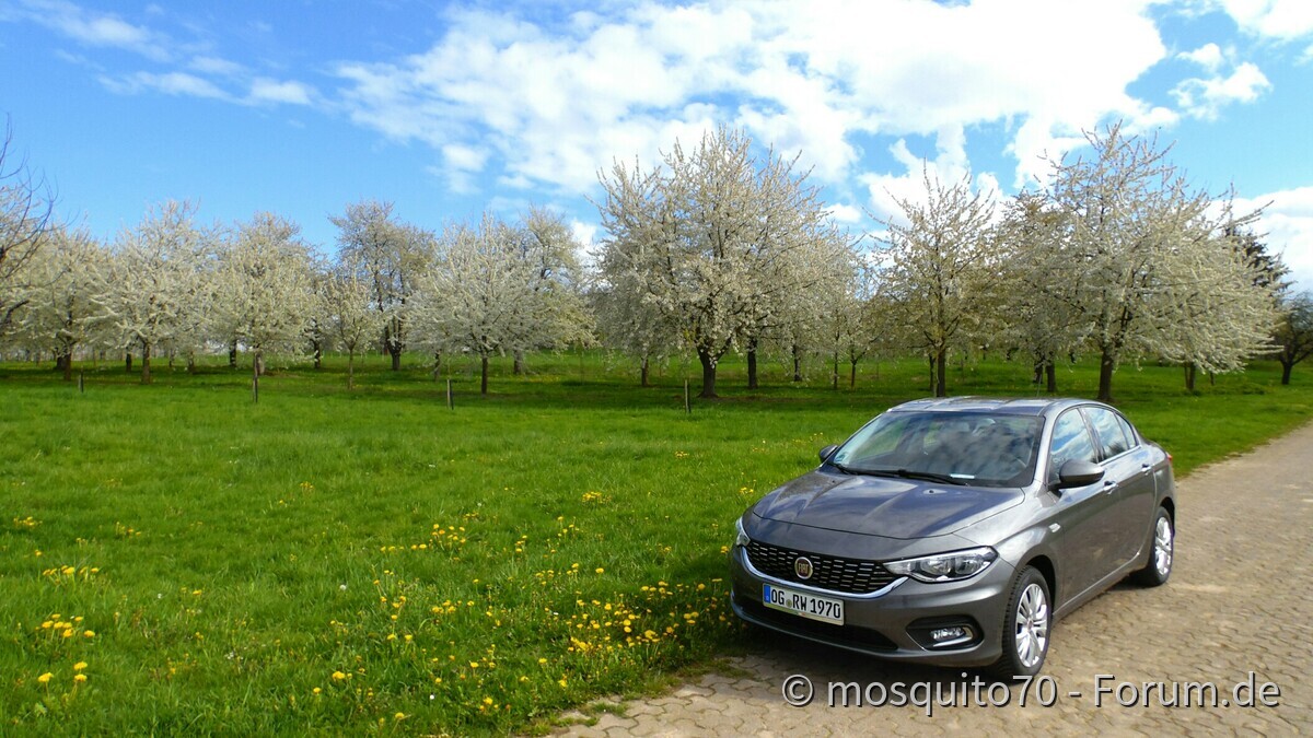 Kleines Limousinen Foto Shooting