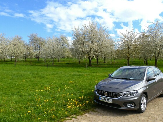 Kleines Limousinen Foto Shooting