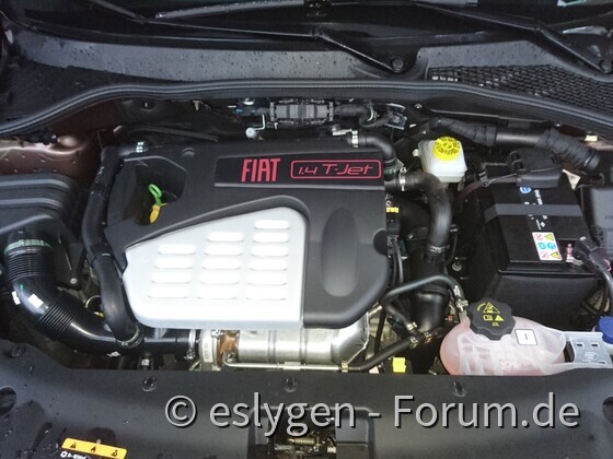 eslygens tipo4