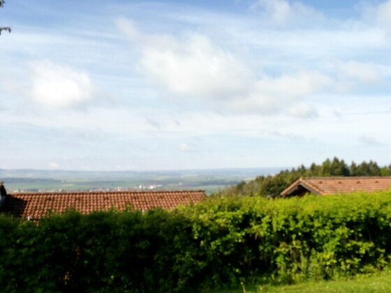 Privatarchiv der Black Forrest WG 2019