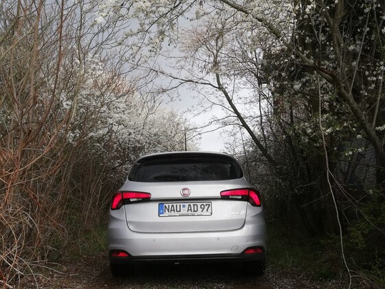 Frühling