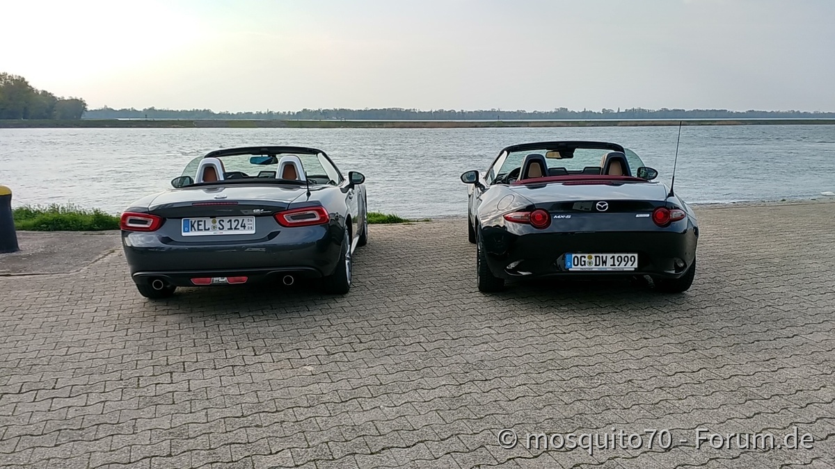 Ausritt zum Rhein
