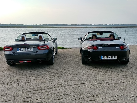 Ausritt zum Rhein
