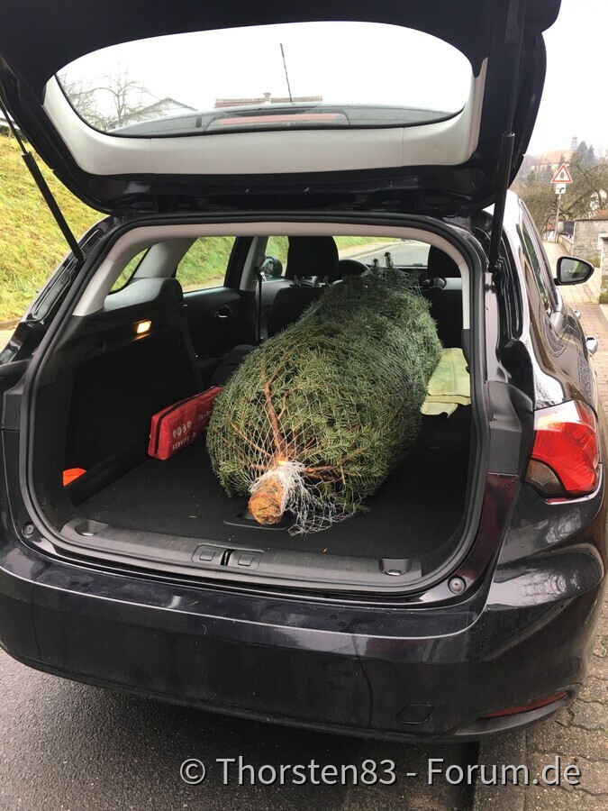 Im schwarzen passt der Baum auch innen rein
